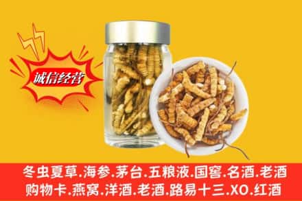 双鸭山饶河回收散虫草