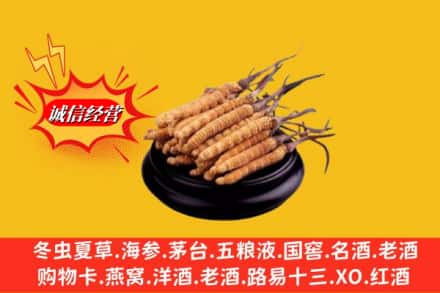双鸭山饶河求购回收虫草多少钱每克